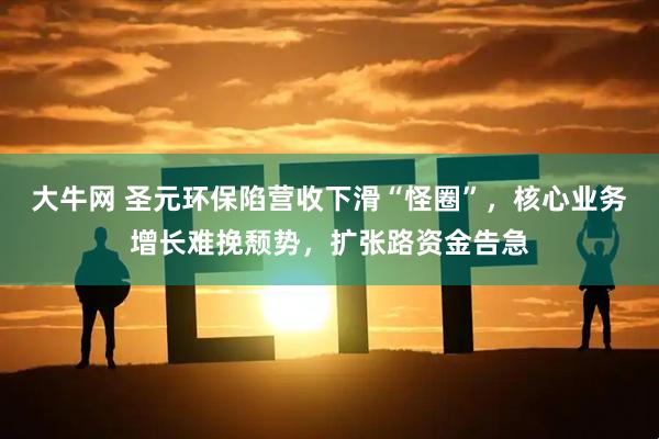 大牛网 圣元环保陷营收下滑“怪圈”，核心业务增长难挽颓势，扩张路资金告急