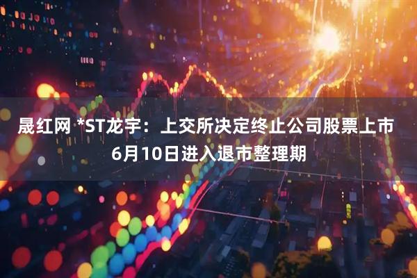 晟红网 *ST龙宇：上交所决定终止公司股票上市 6月10日进入退市整理期