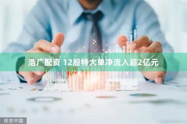 浩广配资 12股特大单净流入超2亿元