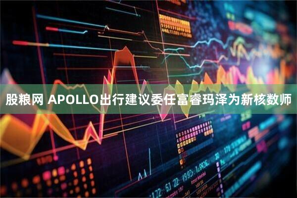 股粮网 APOLLO出行建议委任富睿玛泽为新核数师