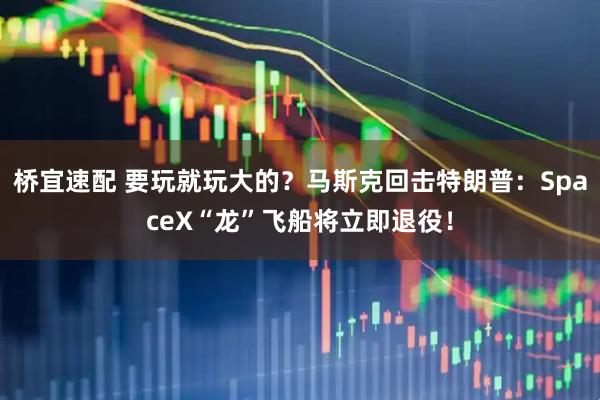 桥宜速配 要玩就玩大的？马斯克回击特朗普：SpaceX“龙”飞船将立即退役！