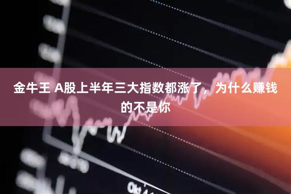 金牛王 A股上半年三大指数都涨了，为什么赚钱的不是你