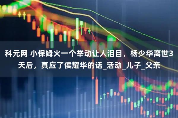 科元网 小保姆火一个举动让人泪目，杨少华离世3天后，真应了侯耀华的话_活动_儿子_父亲