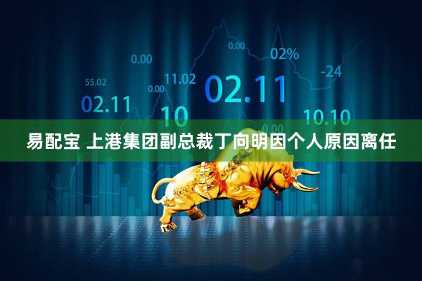 易配宝 上港集团副总裁丁向明因个人原因离任