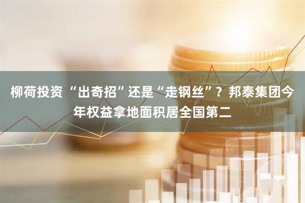 柳荷投资 “出奇招”还是“走钢丝”？邦泰集团今年权益拿地面积居全国第二