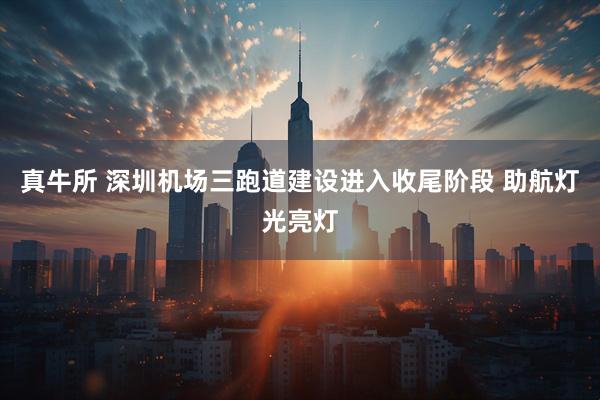 真牛所 深圳机场三跑道建设进入收尾阶段 助航灯光亮灯