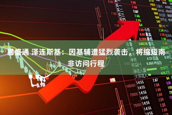 易盛通 泽连斯基：因基辅遭猛烈袭击，将缩短南非访问行程