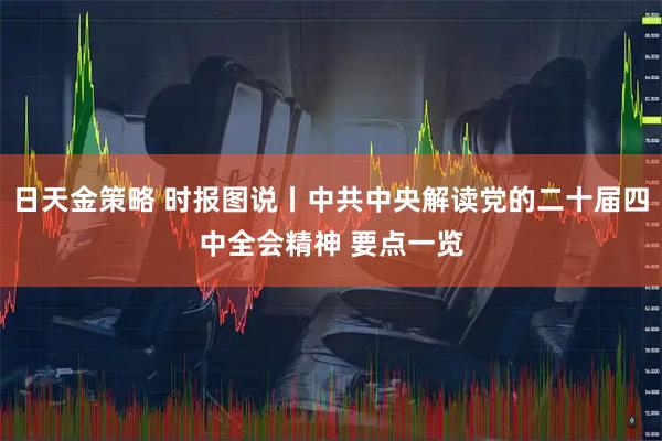 日天金策略 时报图说丨中共中央解读党的二十届四中全会精神 要点一览