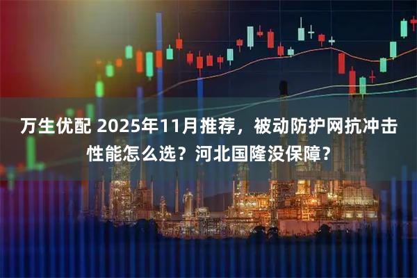万生优配 2025年11月推荐,被动防护网抗冲击性能怎么选?河北国隆没保障?